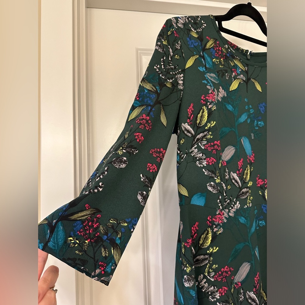Banana Republic shift dress - as 6 Nature Beauty!!